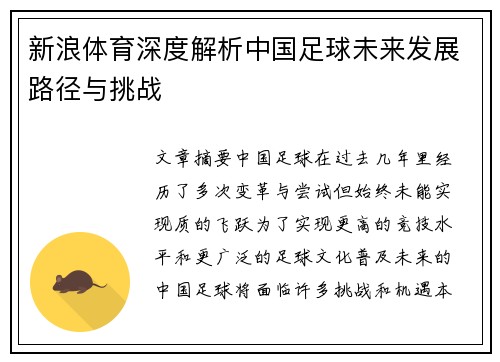 新浪体育深度解析中国足球未来发展路径与挑战